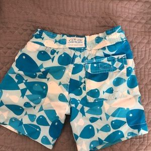Star Blu boys bathing suit